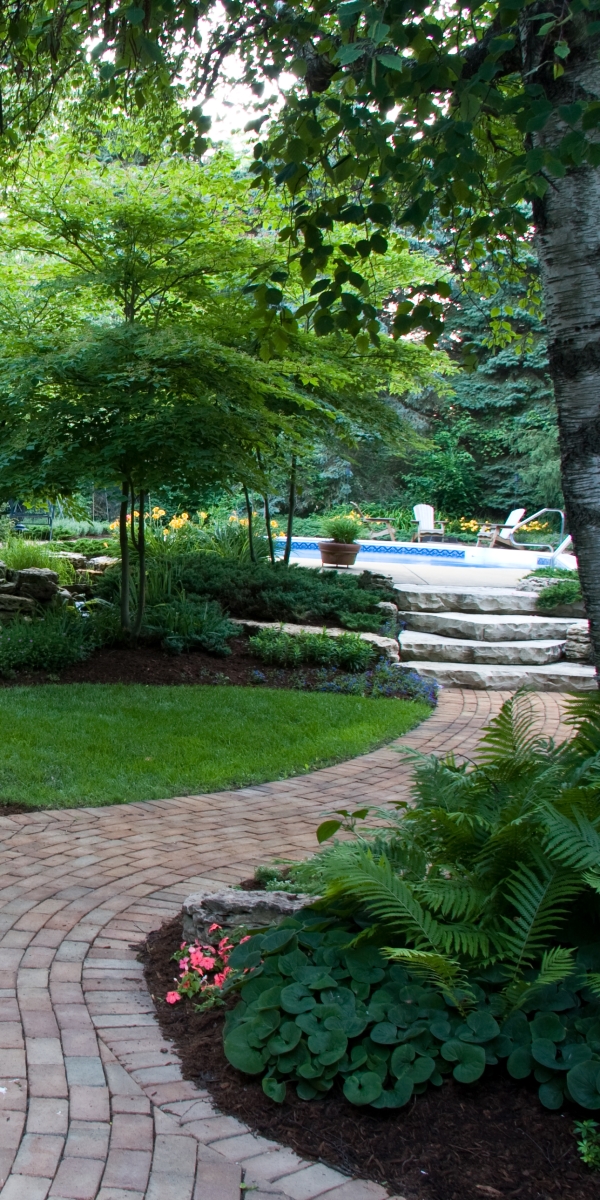 Landscaping services featured image