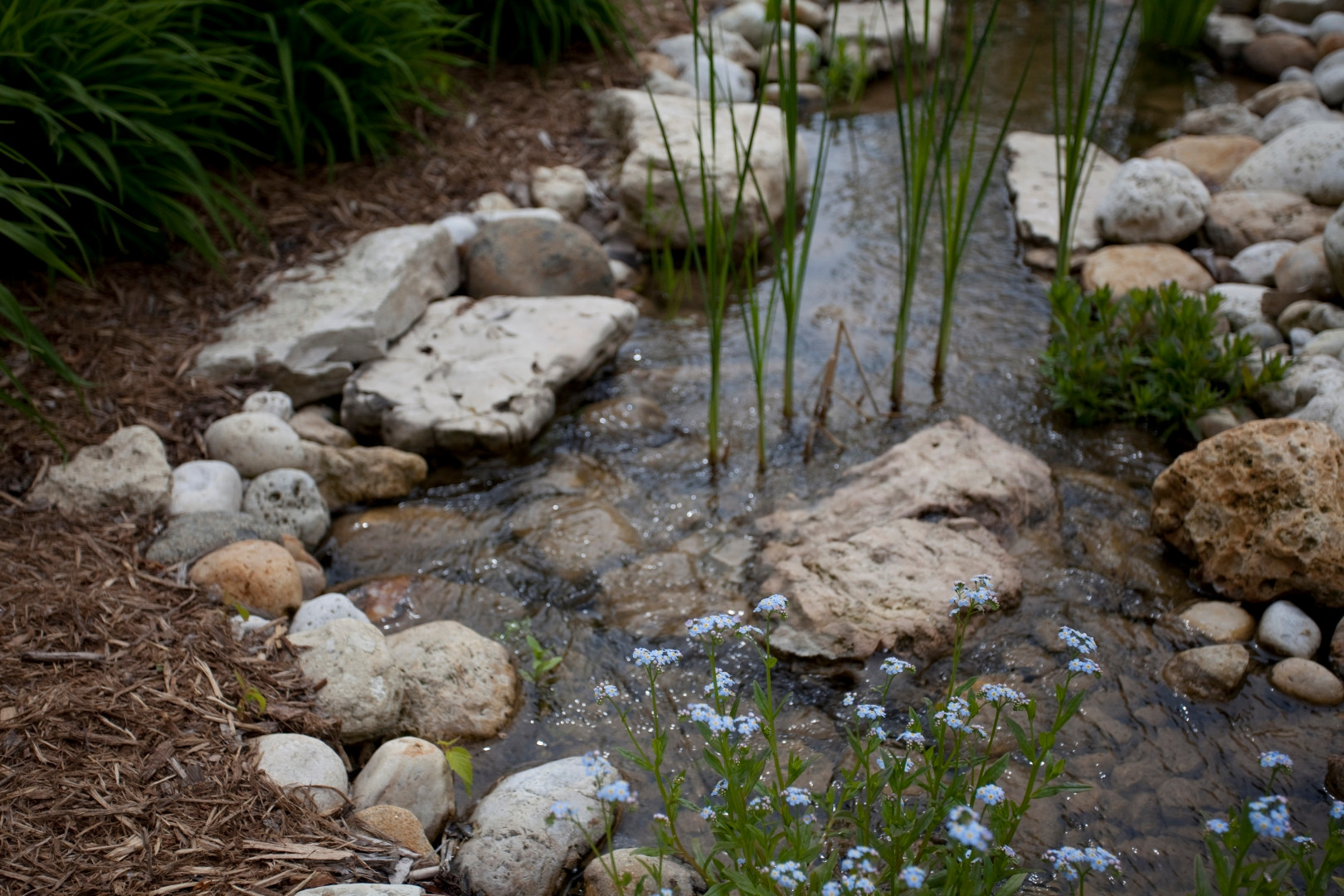 Water feature with recirculating stream built with fieldstone and aquatic plants.