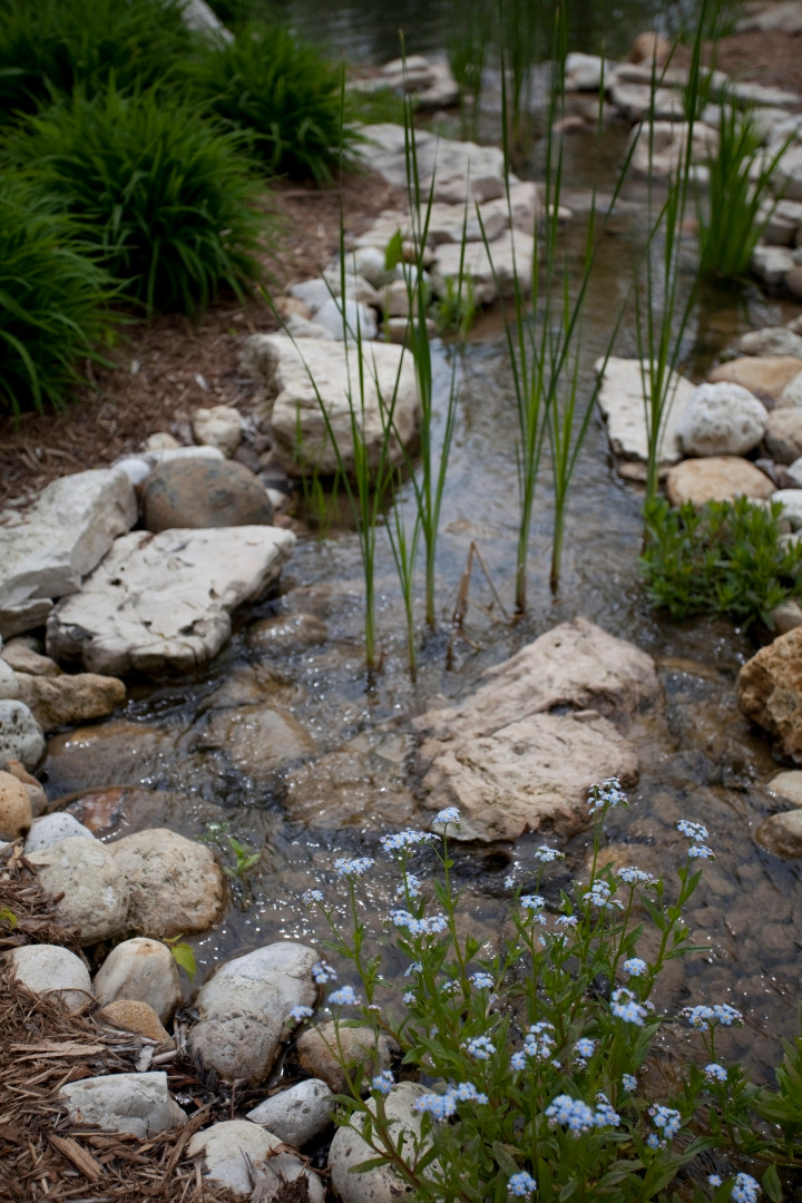 Water feature with recirculating stream built with fieldstone and aquatic plants.